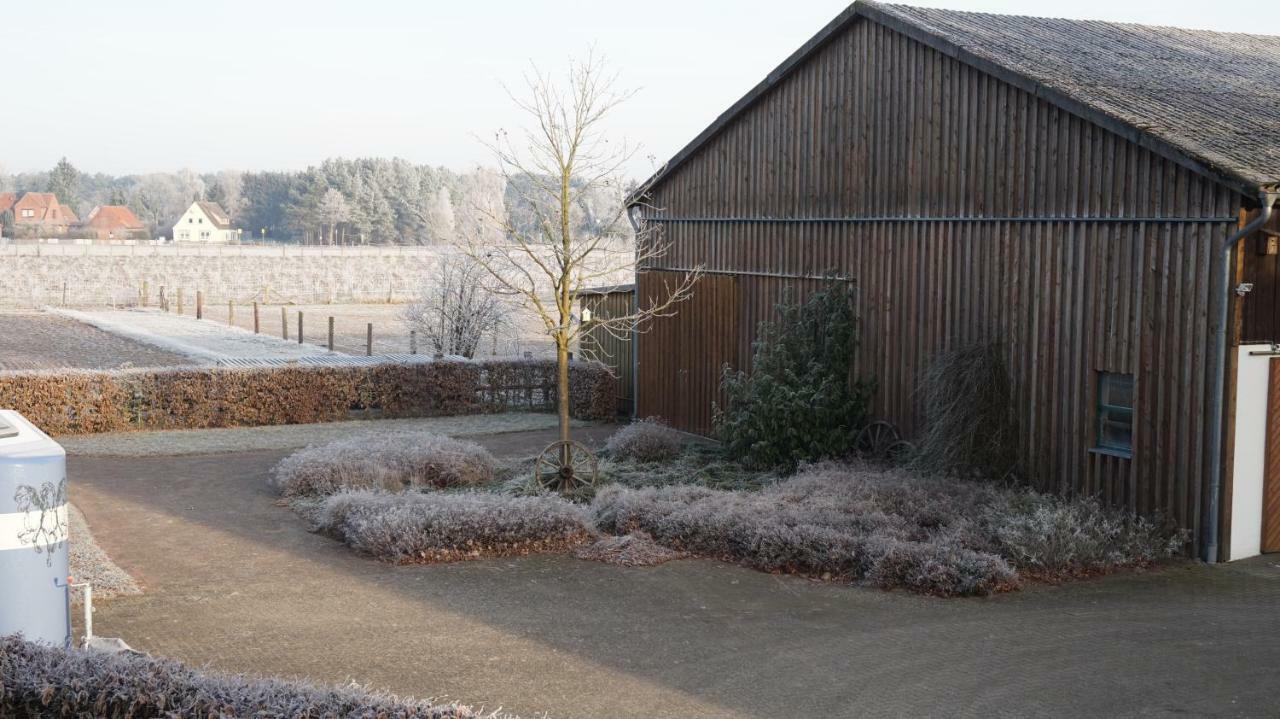 Ferienwohnung Wiesenblick Nahe Region Celle Und Hannover Буххольц Экстерьер фото